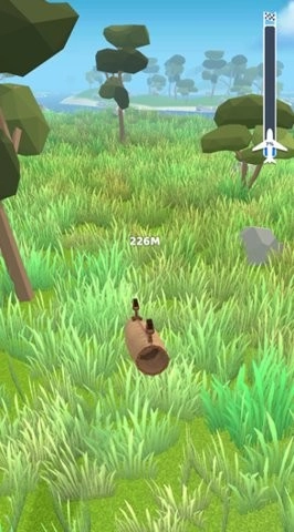 飞机模拟高手完整版截图1