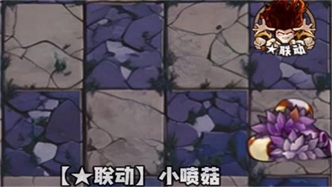 植物大战僵尸神奇植物版