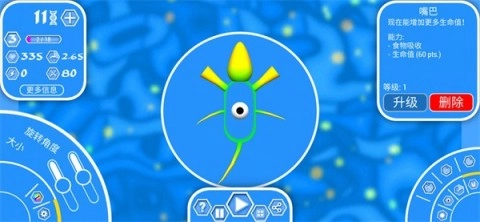 孢子2生物进化(2)