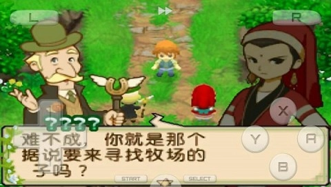 牧场物语 双子村截图3