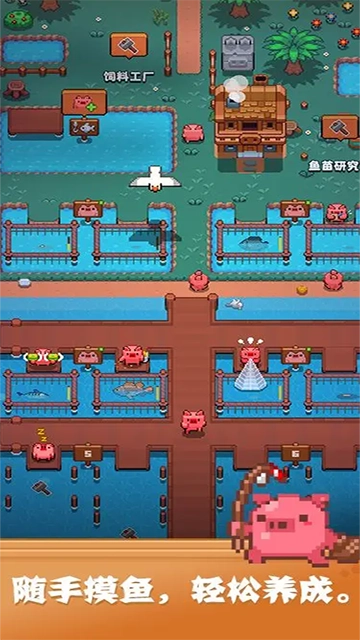 开拓猪之岛图1
