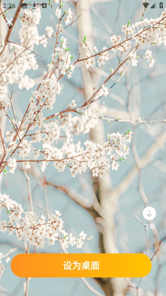 元气手机壁纸图1