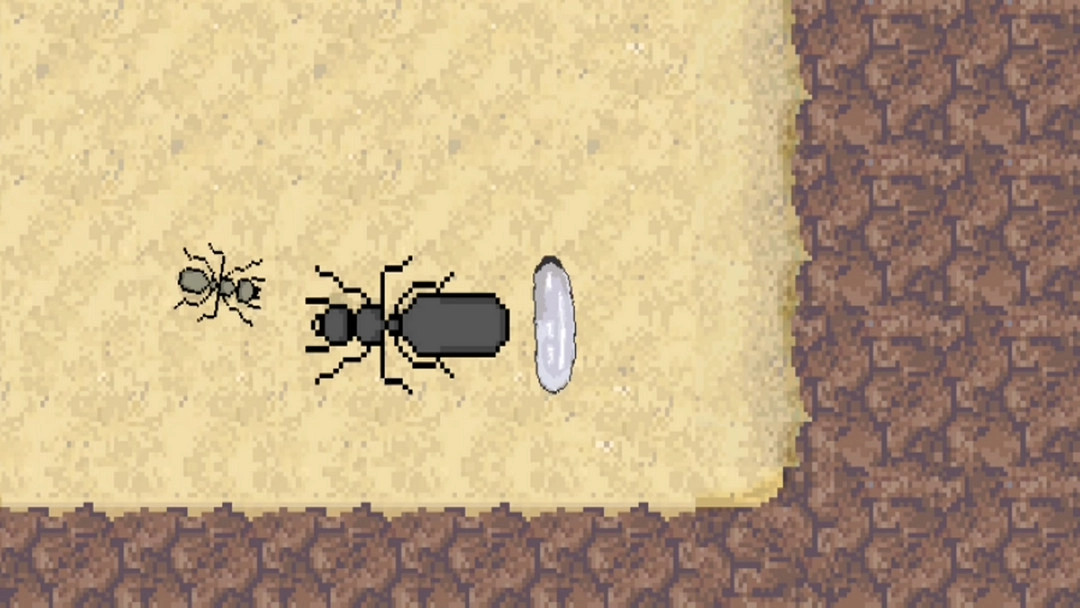 蚂蚁模拟器游戏(4)