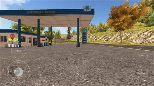 俄罗斯汽车司机游戏(3)