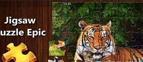 拼图秘密花园(2)