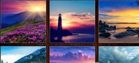 拼图秘密花园(4)