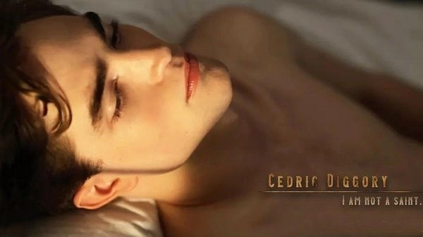 HP不靠谱学长攻略指南清软完整版截图1