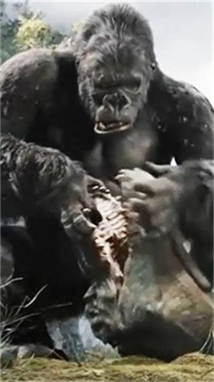 哥斯拉金剛王國截圖1