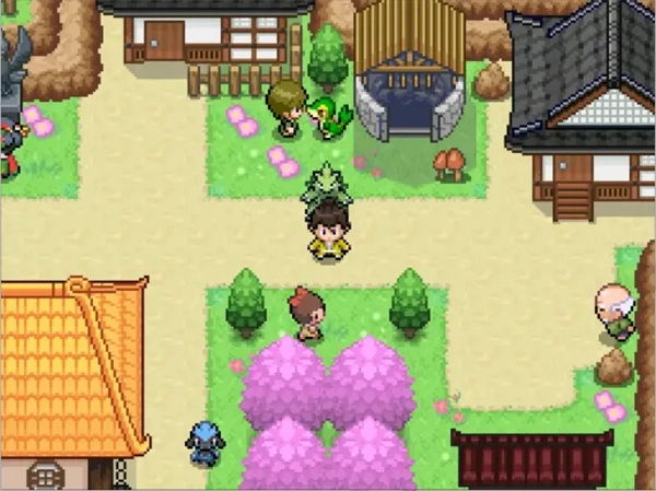 宝可梦武士道图2