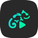 蜥蜴音乐播放器高级版