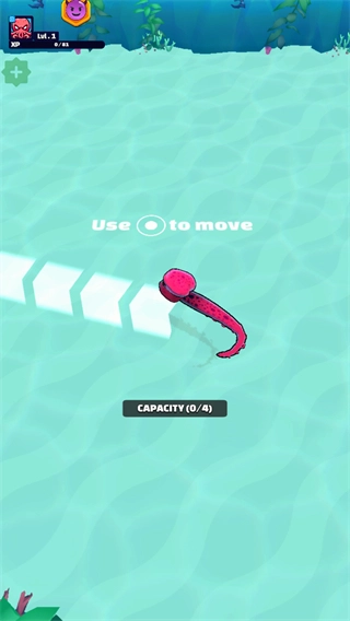 章鱼盛宴无广告