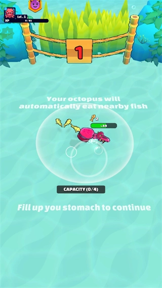 章鱼盛宴无广告