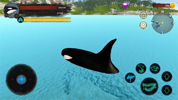 虎鲸模拟器中文版图3