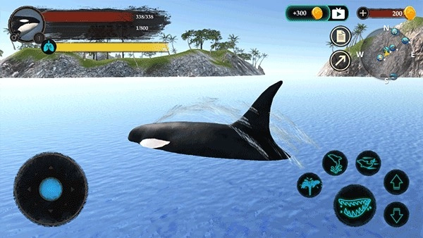 虎鲸模拟器中文版图1