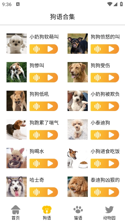 猫狗语翻译交流器安卓版图4