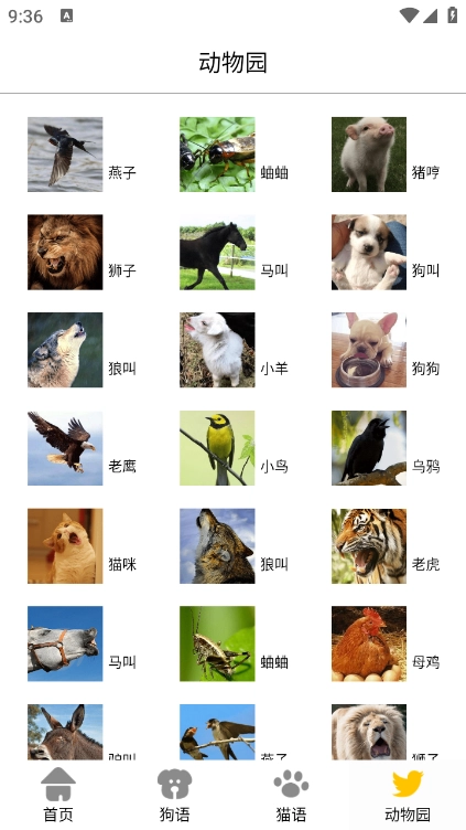 猫狗语翻译交流器安卓版图2