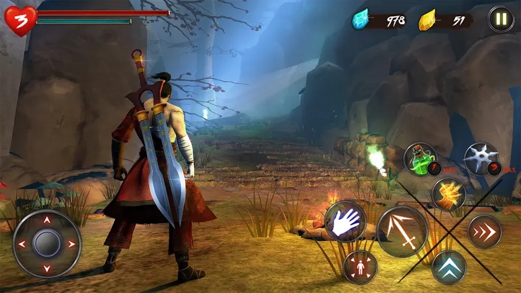 忍者武士隆截图1