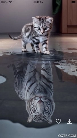 百变桌面壁纸软件2