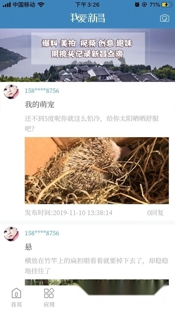 我爱新昌手机版(4)