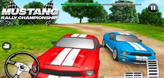 赛车拉力锦标赛图2