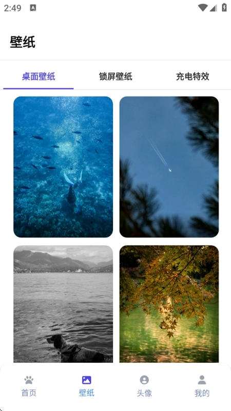 shimeji桌宠正版4