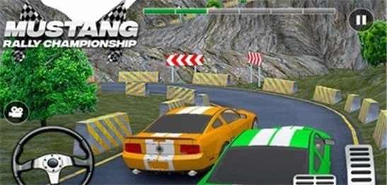 赛车拉力锦标赛图3