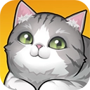 养了个猫最新版