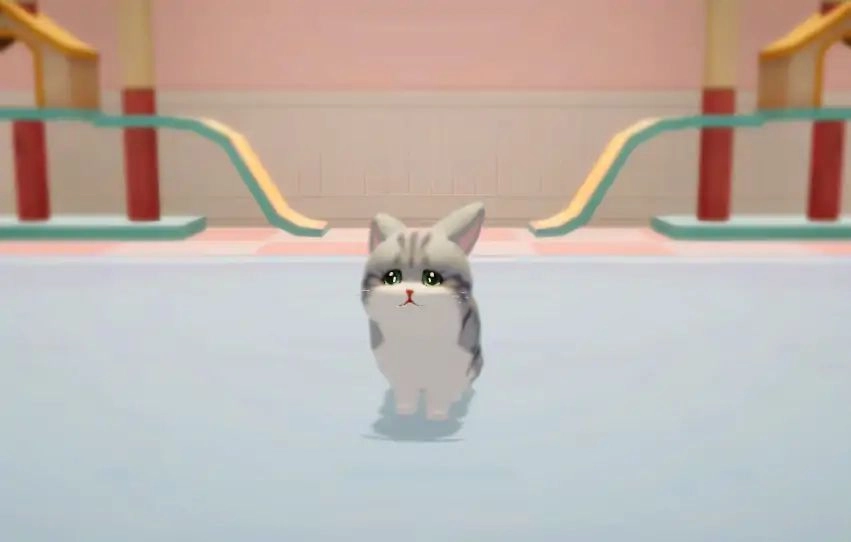 养了个猫最新版