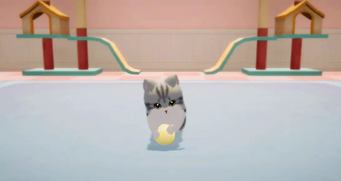 养了个猫最新版