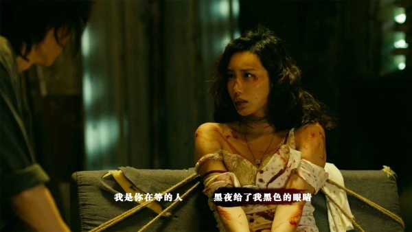 扫毒风暴宛北往事图2