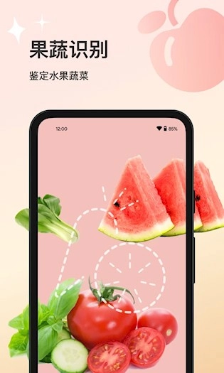 花卉识别安卓版(3)
