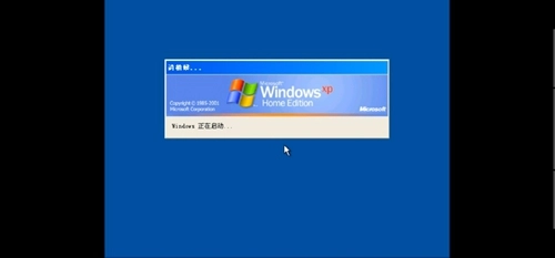windows模拟器安卓版图3
