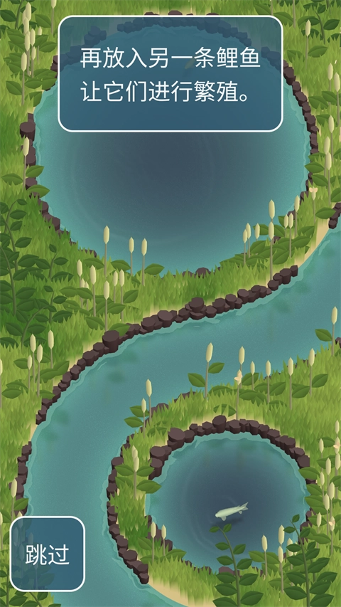 锦鲤农场游戏 安卓版图5