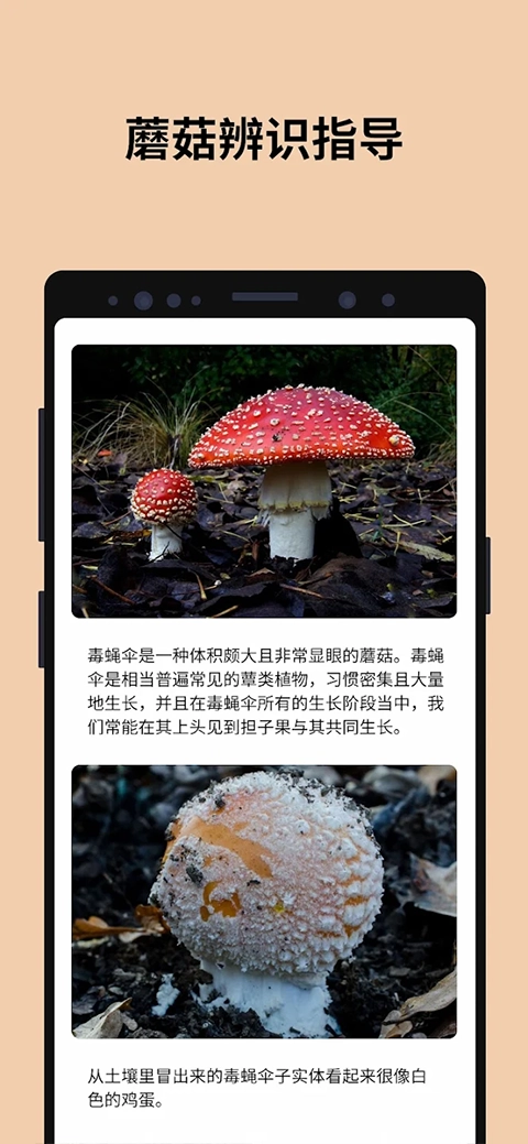 蘑菇识别扫一扫安卓版截图2