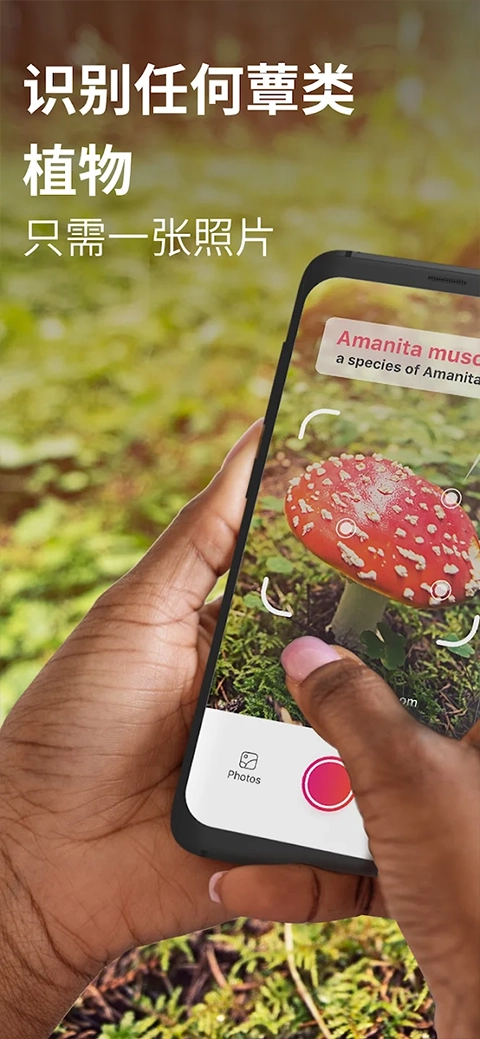 蘑菇识别扫一扫安卓版截图1