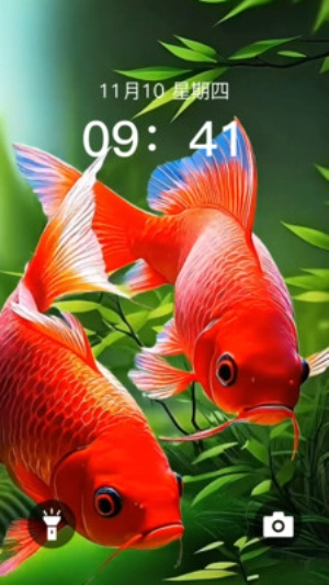 动态养鱼壁纸图1
