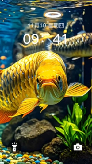 动态养鱼壁纸图2