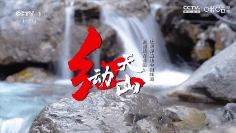 冰茶订阅专用(电视直播软件)  安卓版(2)