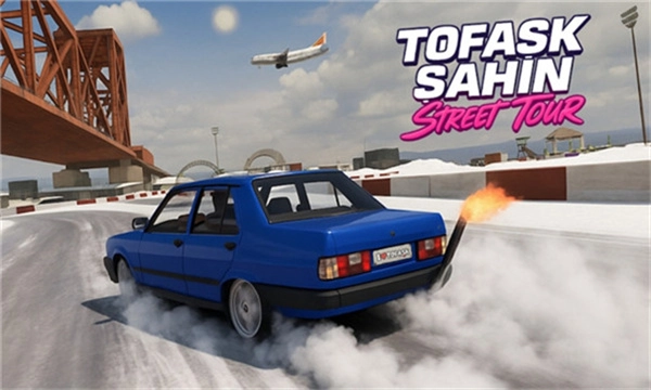 大师驾驶街头之旅最新版图3