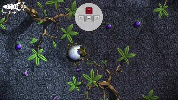 贪吃瑞拉菜单图2