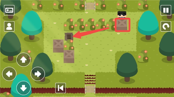 推箱子乐园DX(SKBLandDX)图1