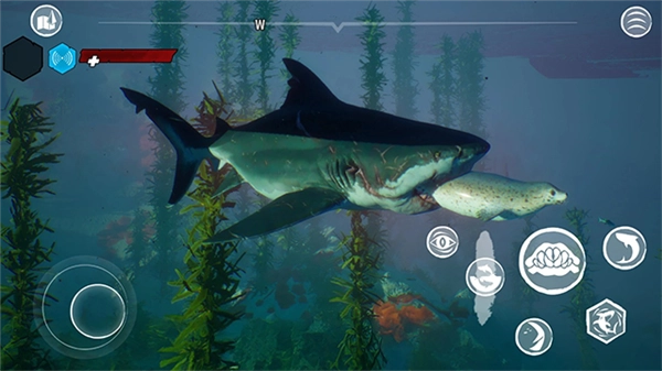 食人鲨Maneater国际版(3)