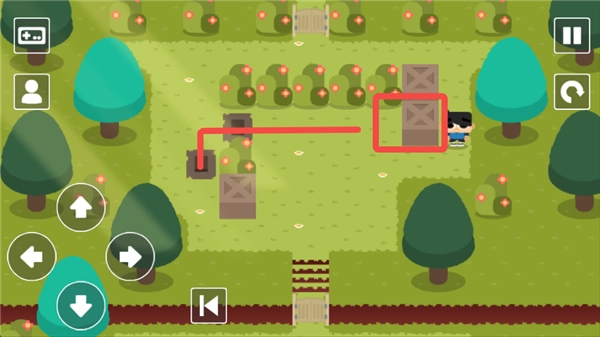 推箱子乐园DX(SKBLandDX)图3