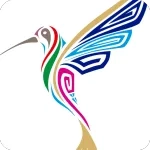 蜂鸟影视最新手机版