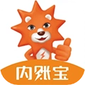 內(nèi)賬寶