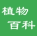 植物百科
