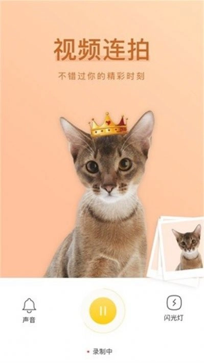 萌仔相机手机版(2)