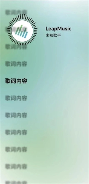 LeapMusic图1