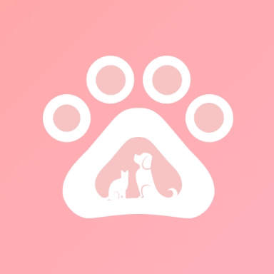 喵语翻译器软件