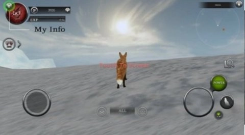 野生动物丛林法则最新版(2)